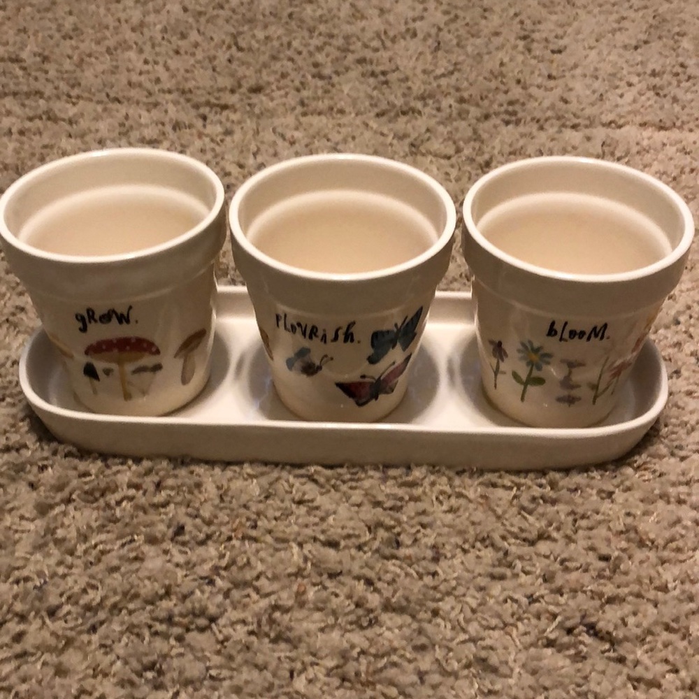 Rae Dunn planter